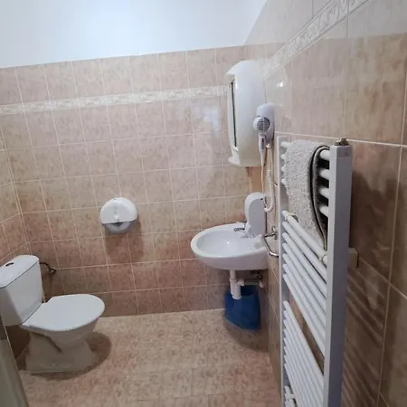 בית הארחה Pavir Zidlochovice